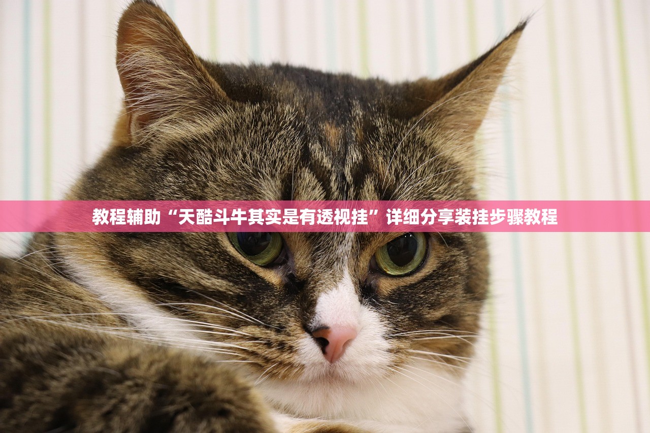 辅助神器“闲逸外卦神器下载安装最新版	”开挂(透视)辅助教程