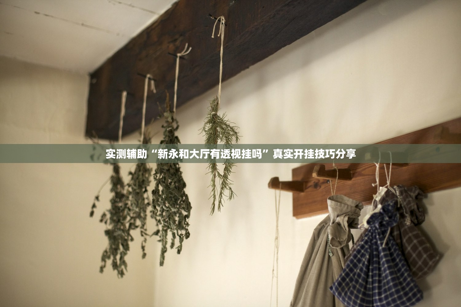 实测辅助“新永和大厅有透视挂吗”真实开挂技巧分享