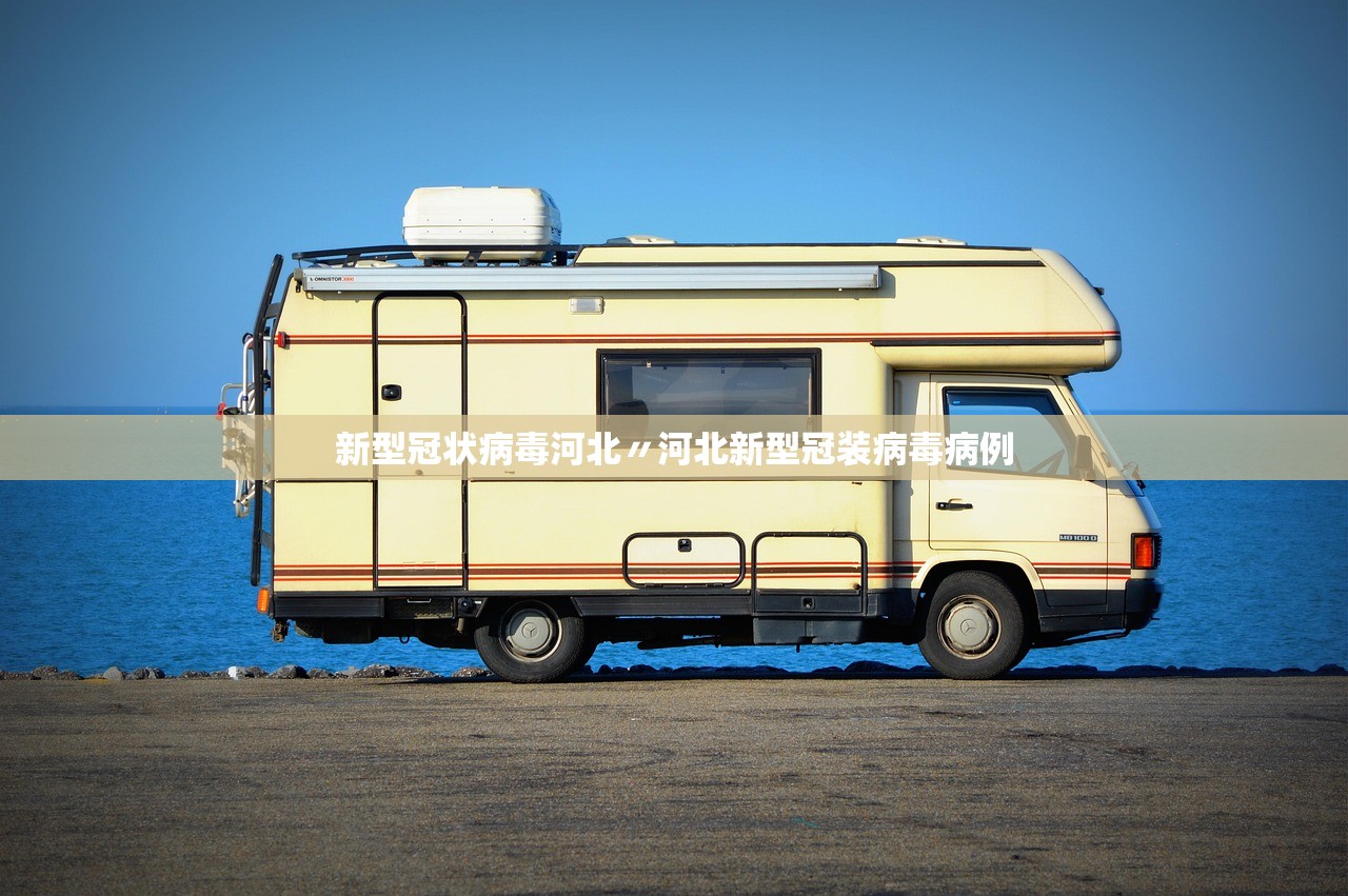 新型冠状病毒河北〃河北新型冠装病毒病例