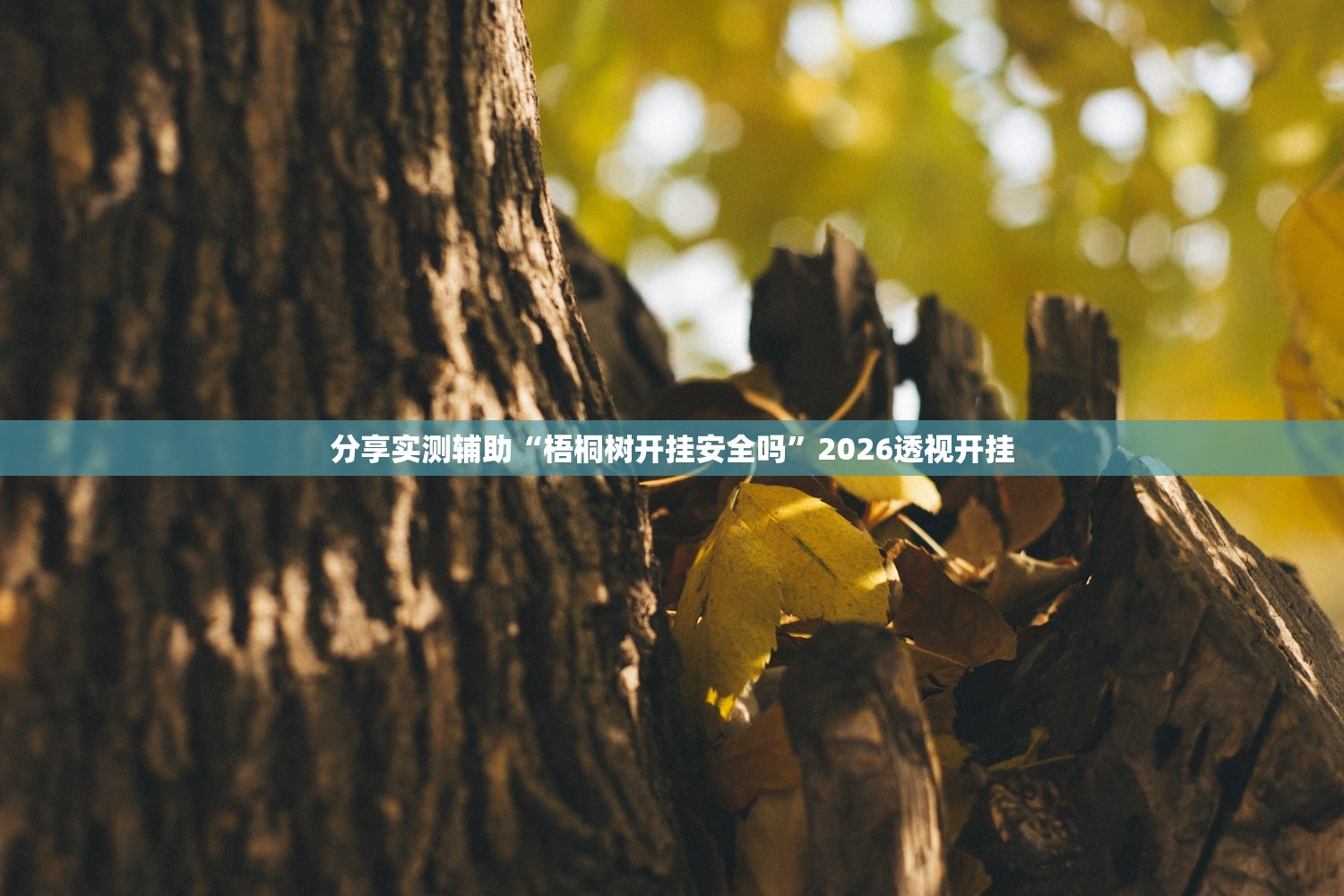 分享实测辅助“梧桐树开挂安全吗	”2026透视开挂