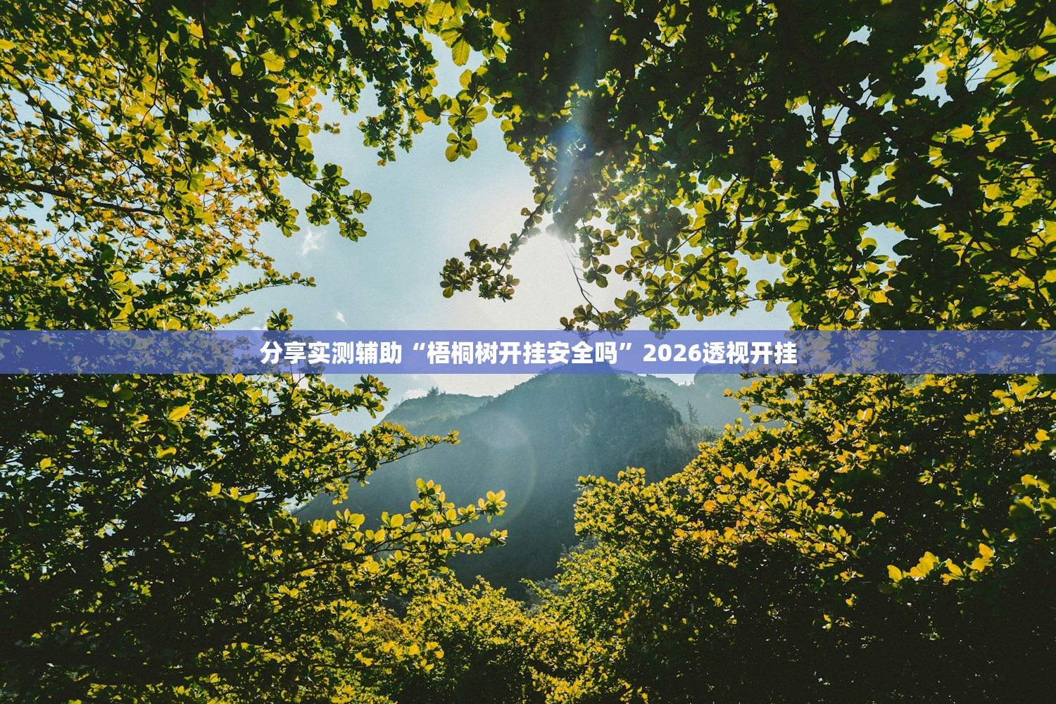 分享实测辅助“梧桐树开挂安全吗”2026透视开挂