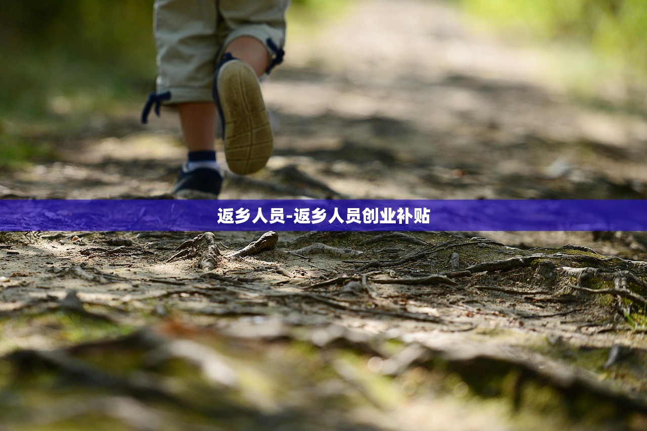 返乡人员-返乡人员创业补贴