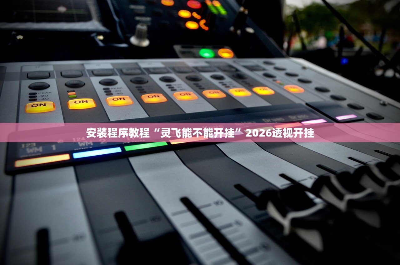 安装程序教程“灵飞能不能开挂”2026透视开挂