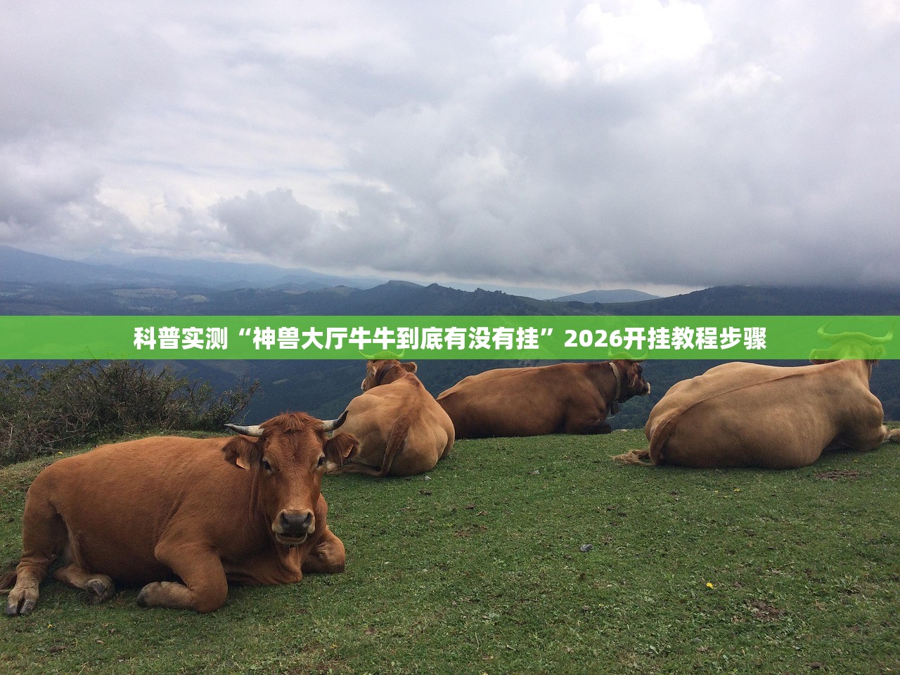 科普实测“神兽大厅牛牛到底有没有挂”2026开挂教程步骤