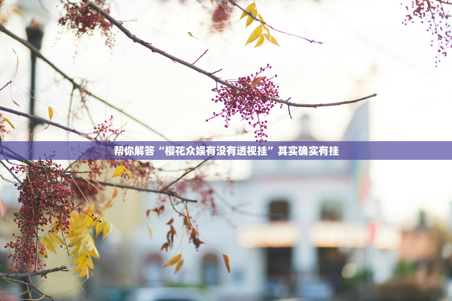 帮你解答“樱花众娱有没有透视挂”其实确实有挂
