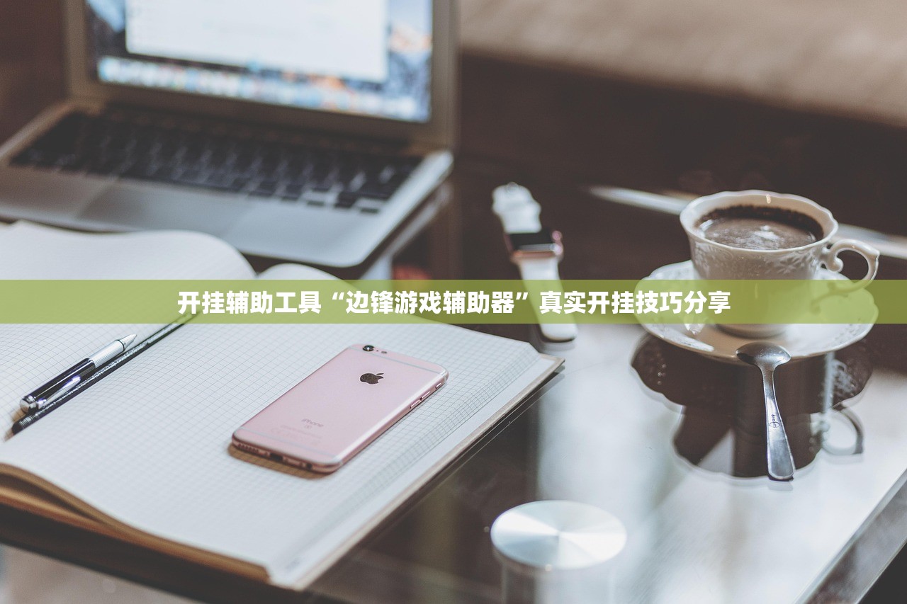 开挂辅助工具“边锋游戏辅助器”真实开挂技巧分享