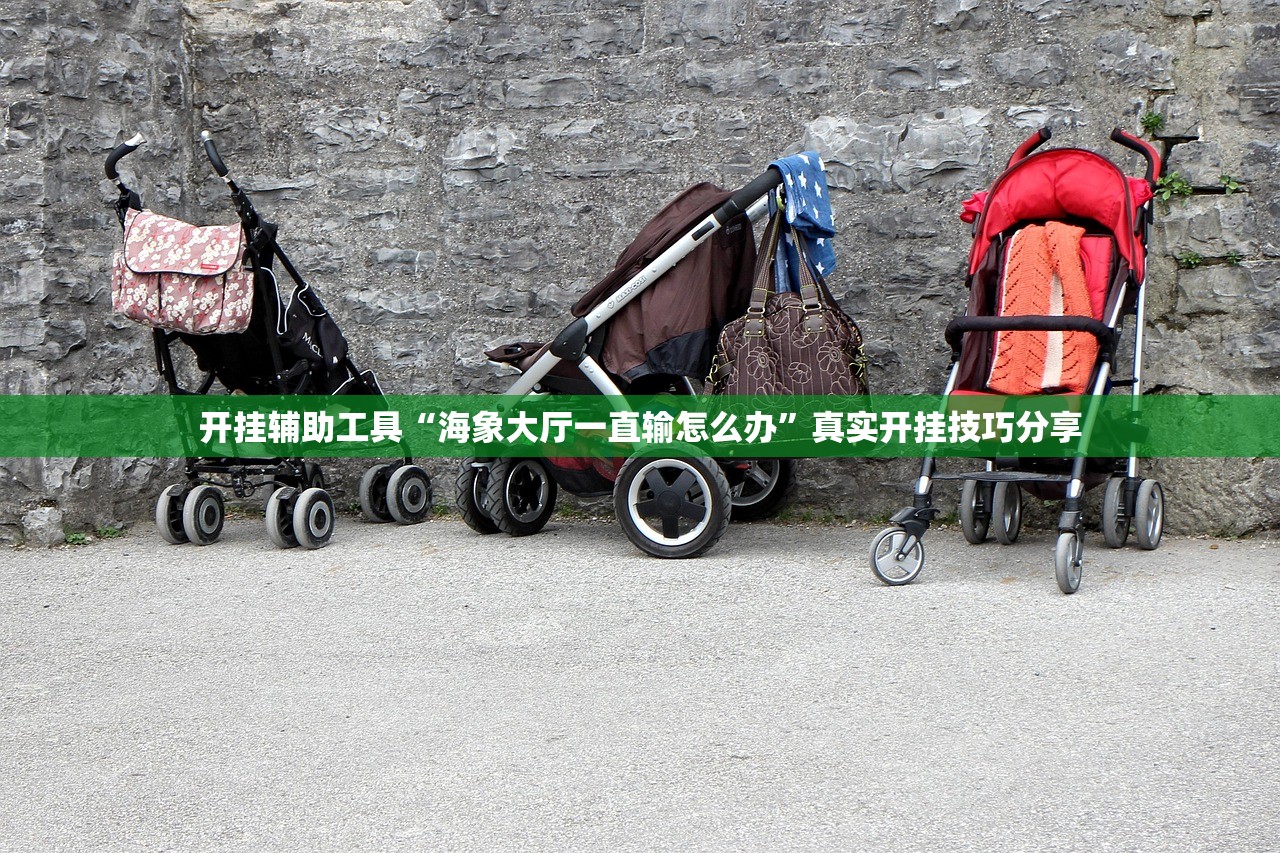 开挂辅助工具“海象大厅一直输怎么办”真实开挂技巧分享