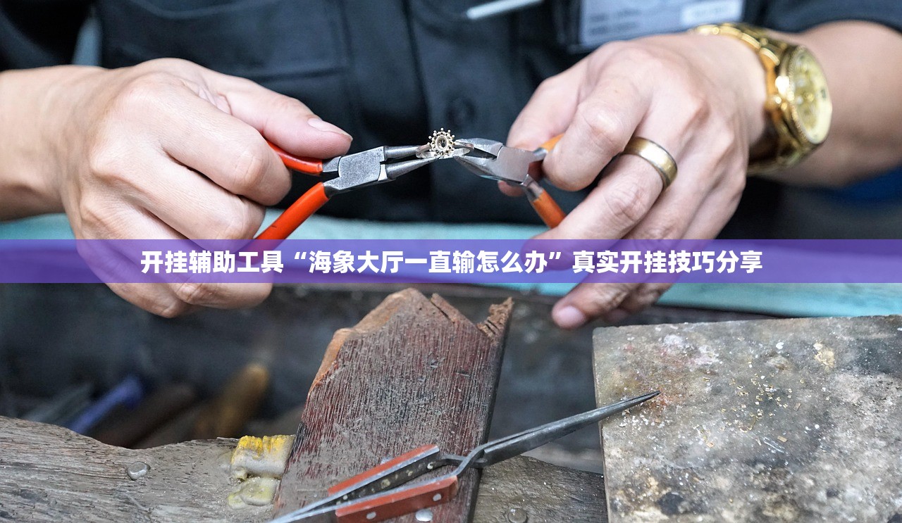 开挂辅助工具“海象大厅一直输怎么办	”真实开挂技巧分享