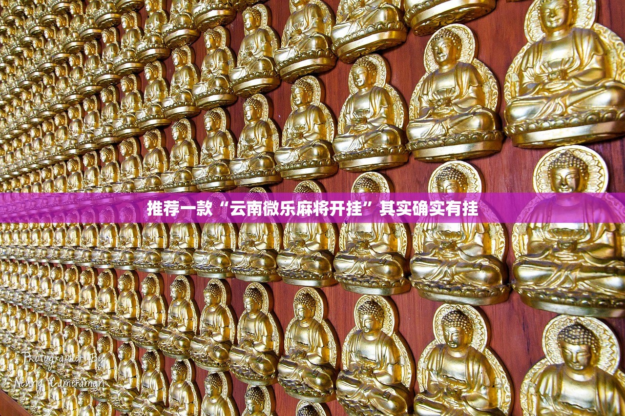 推荐一款“云南微乐麻将开挂”其实确实有挂