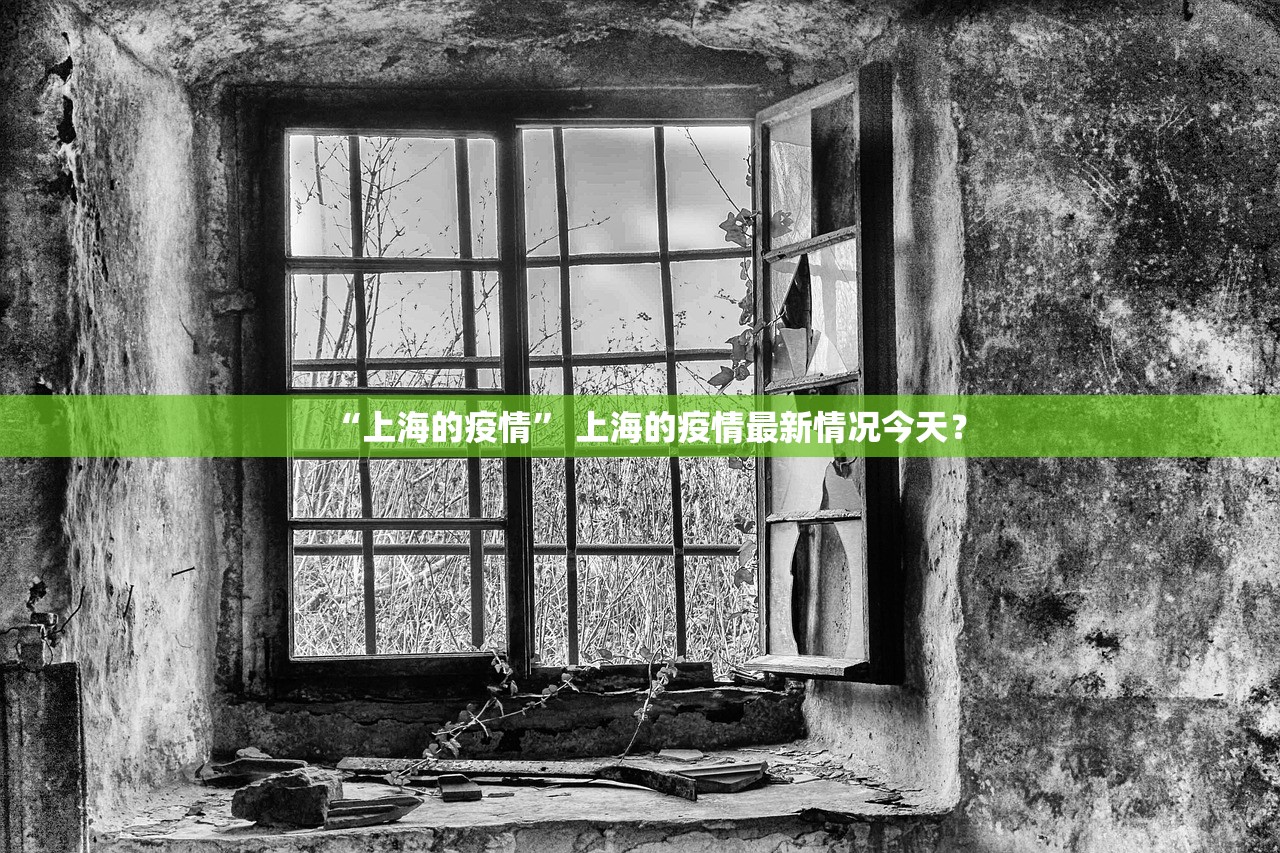 “上海的疫情	” 上海的疫情最新情况今天？