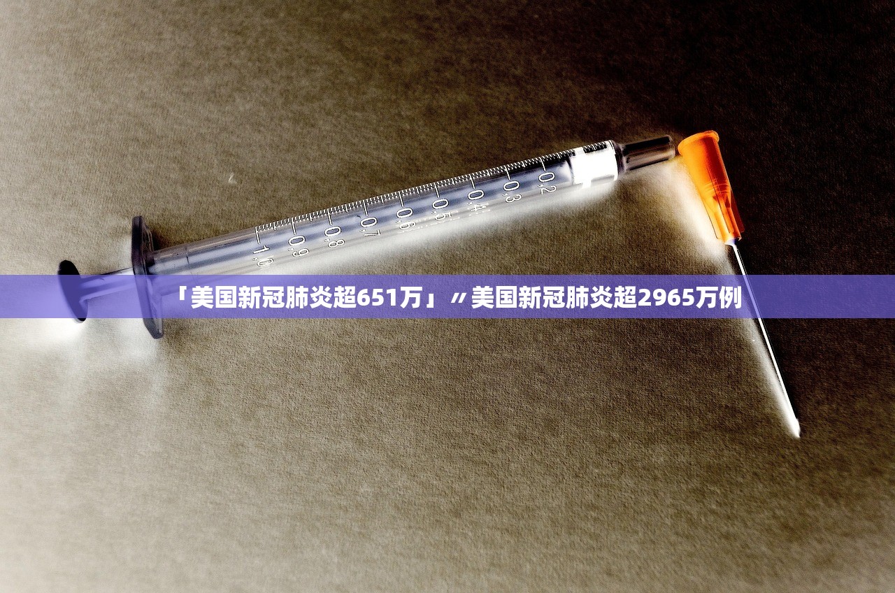 「美国新冠肺炎超651万」〃美国新冠肺炎超2965万例