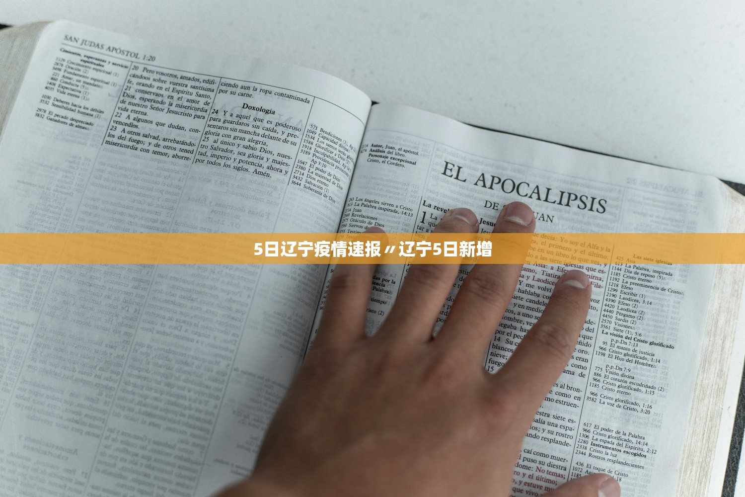 5日辽宁疫情速报〃辽宁5日新增