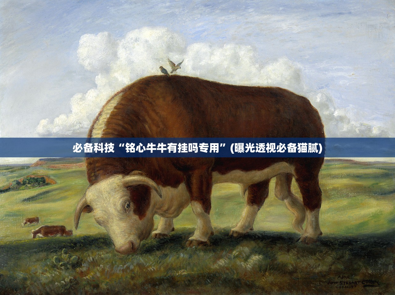 必备科技“铭心牛牛有挂吗专用	”(曝光透视必备猫腻)