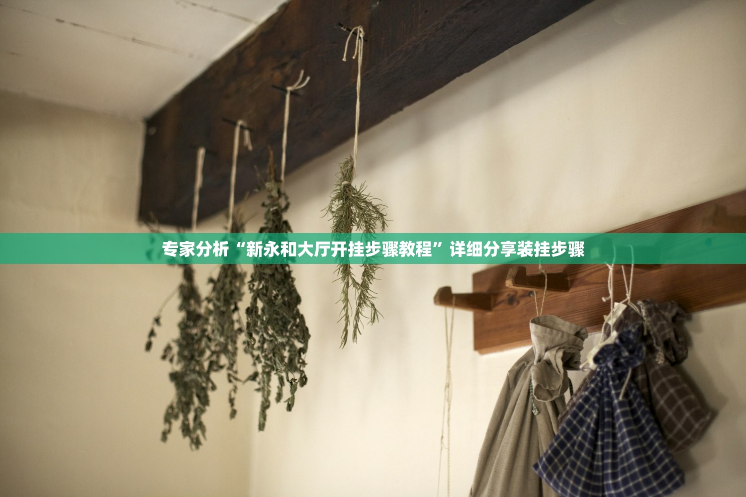 专家分析“新永和大厅开挂步骤教程	”详细分享装挂步骤
