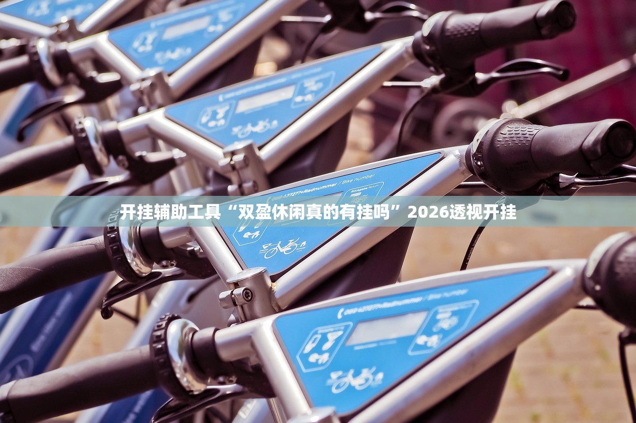 开挂辅助工具“双盈休闲真的有挂吗”2026透视开挂