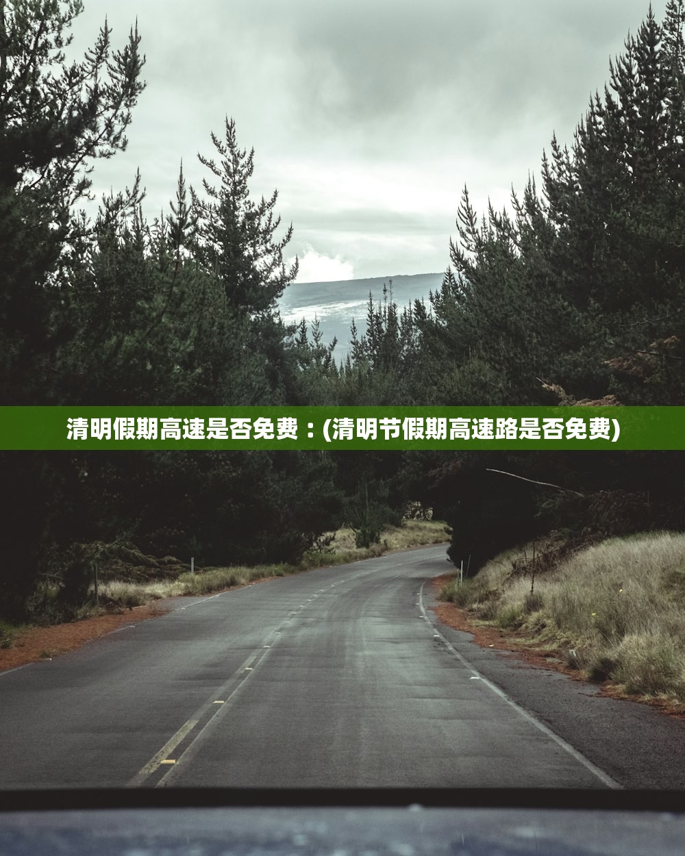 清明假期高速是否免费︰(清明节假期高速路是否免费) 清明假期高速是否免费︰(清明节假期高速路是否免费)
