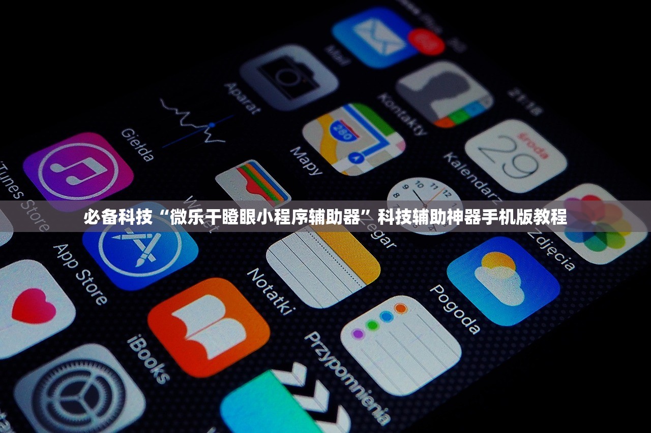必备科技“微乐干瞪眼小程序辅助器”科技辅助神器手机版教程
