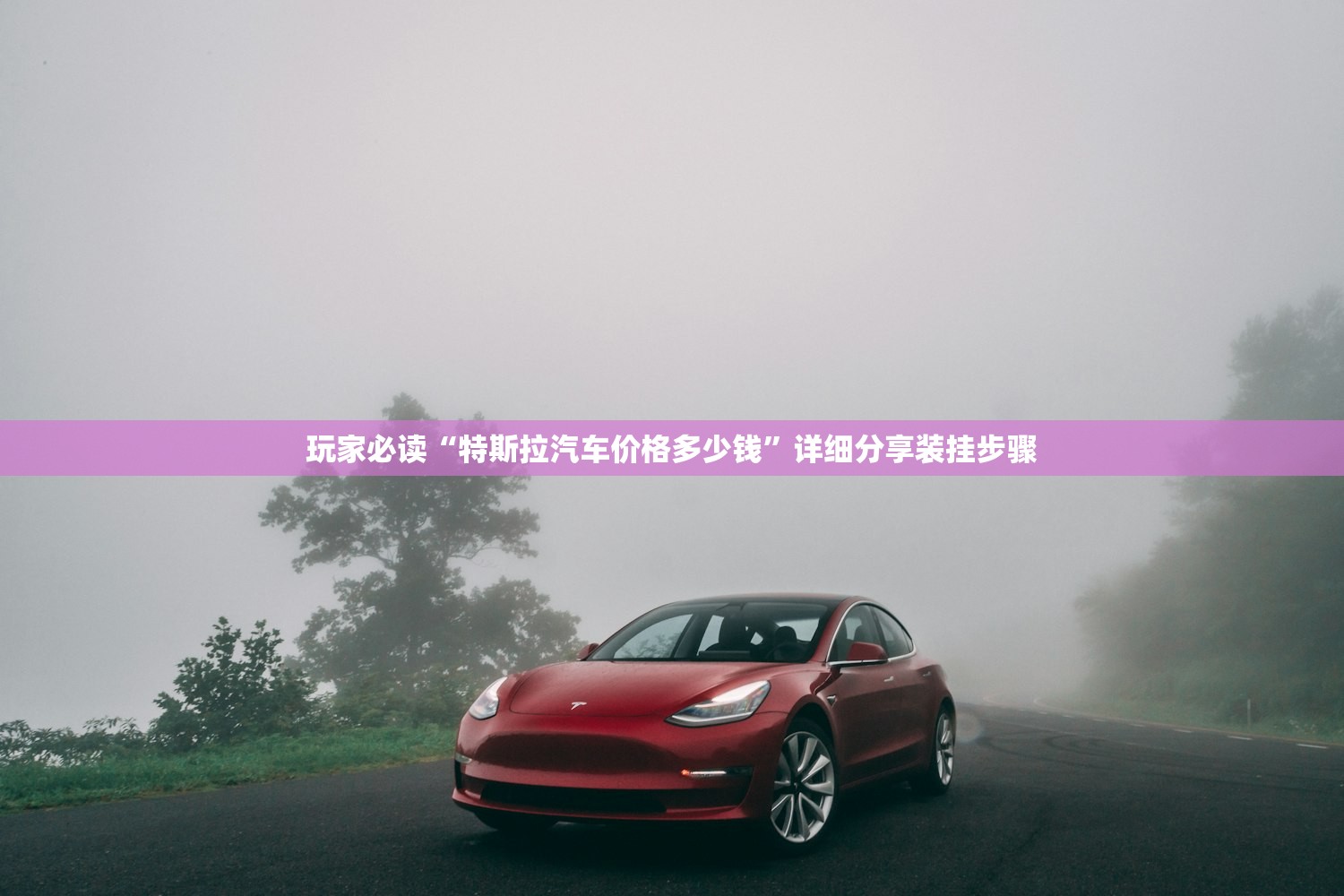 玩家必读“特斯拉汽车价格多少钱”详细分享装挂步骤