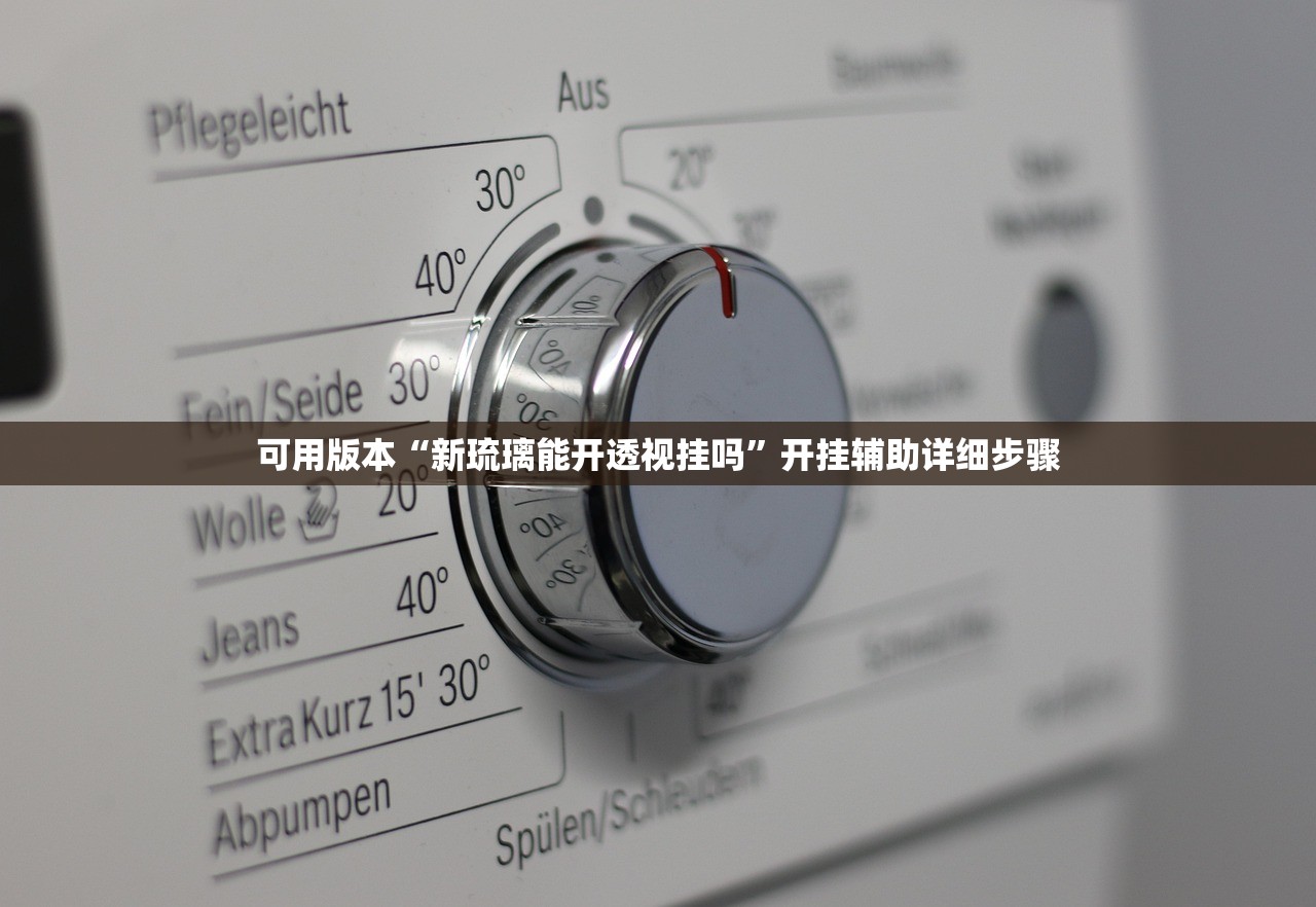 可用版本“新琉璃能开透视挂吗”开挂辅助详细步骤