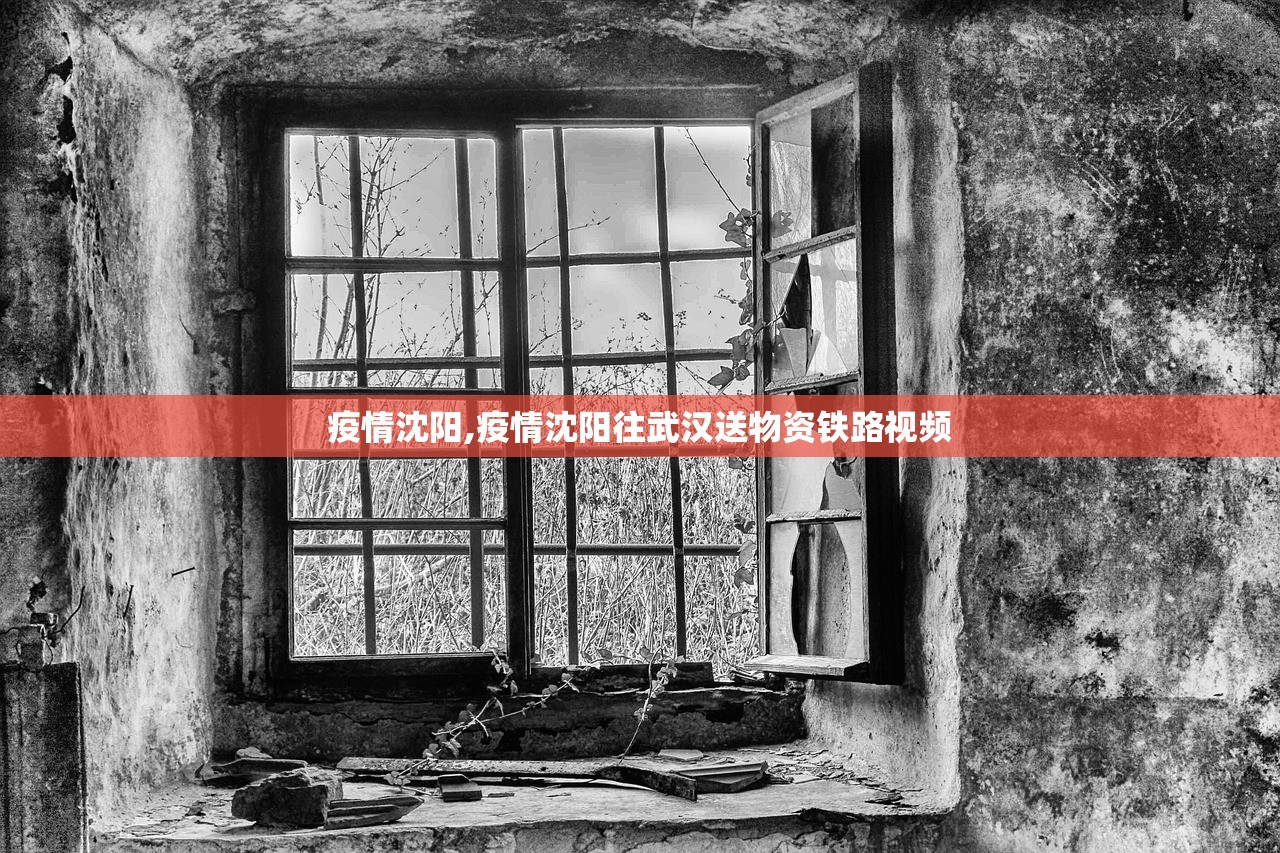疫情沈阳,疫情沈阳往武汉送物资铁路视频 疫情沈阳,疫情沈阳往武汉送物资铁路视频