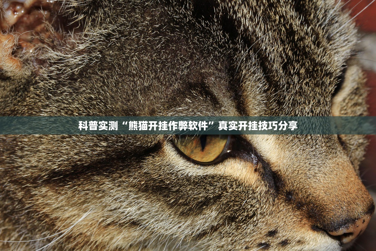 科普实测“熊猫开挂作弊软件”真实开挂技巧分享