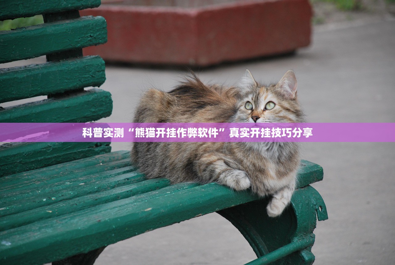 科普实测“熊猫开挂作弊软件	”真实开挂技巧分享