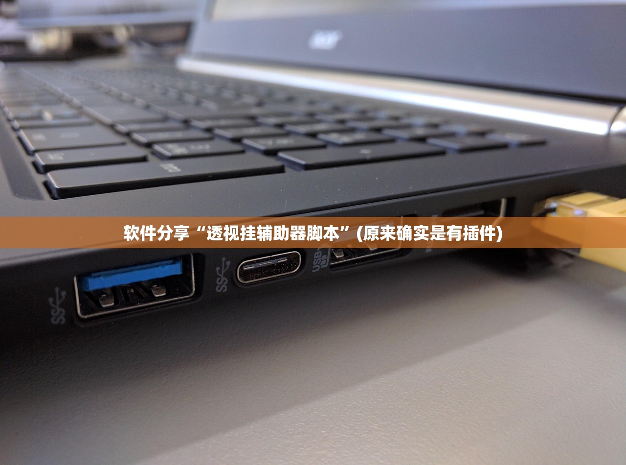 软件分享“透视挂辅助器脚本”(原来确实是有插件)