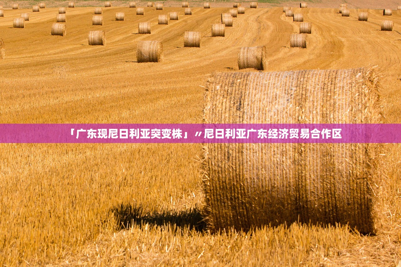 「广东现尼日利亚突变株」〃尼日利亚广东经济贸易合作区