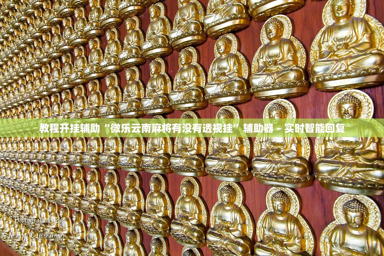教程开挂辅助“微乐云南麻将有没有透视挂”辅助器 – 实时智能回复