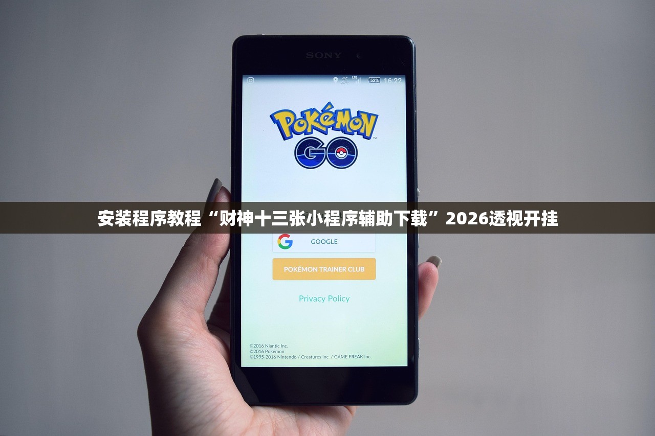 安装程序教程“财神十三张小程序辅助下载”2026透视开挂
