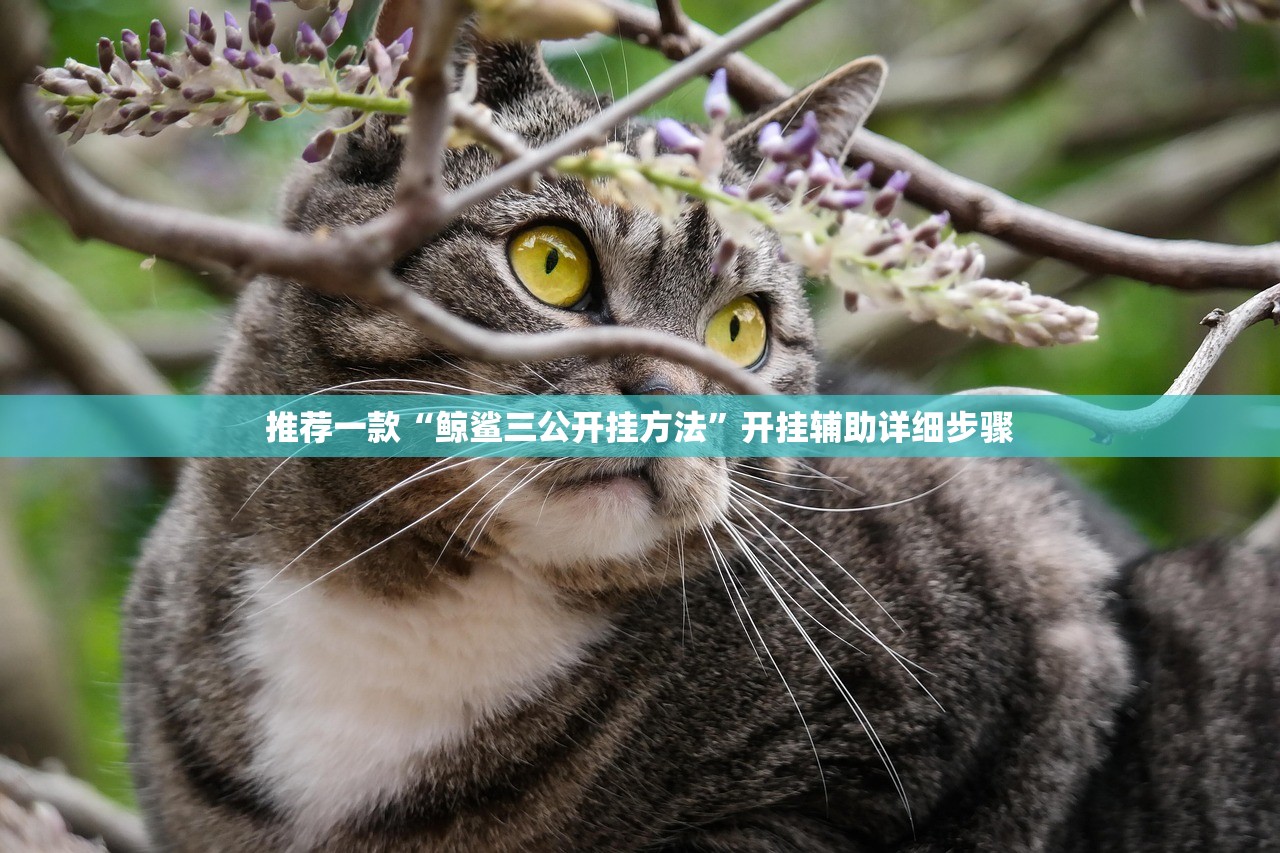 推荐一款“鲸鲨三公开挂方法”开挂辅助详细步骤