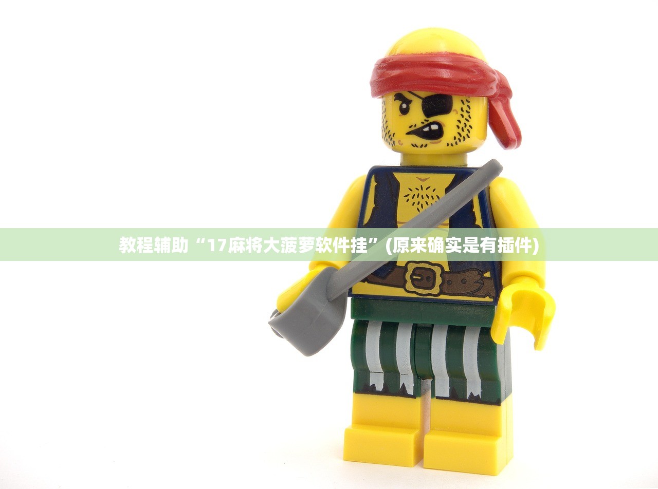 教程辅助“17麻将大菠萝软件挂”(原来确实是有插件)