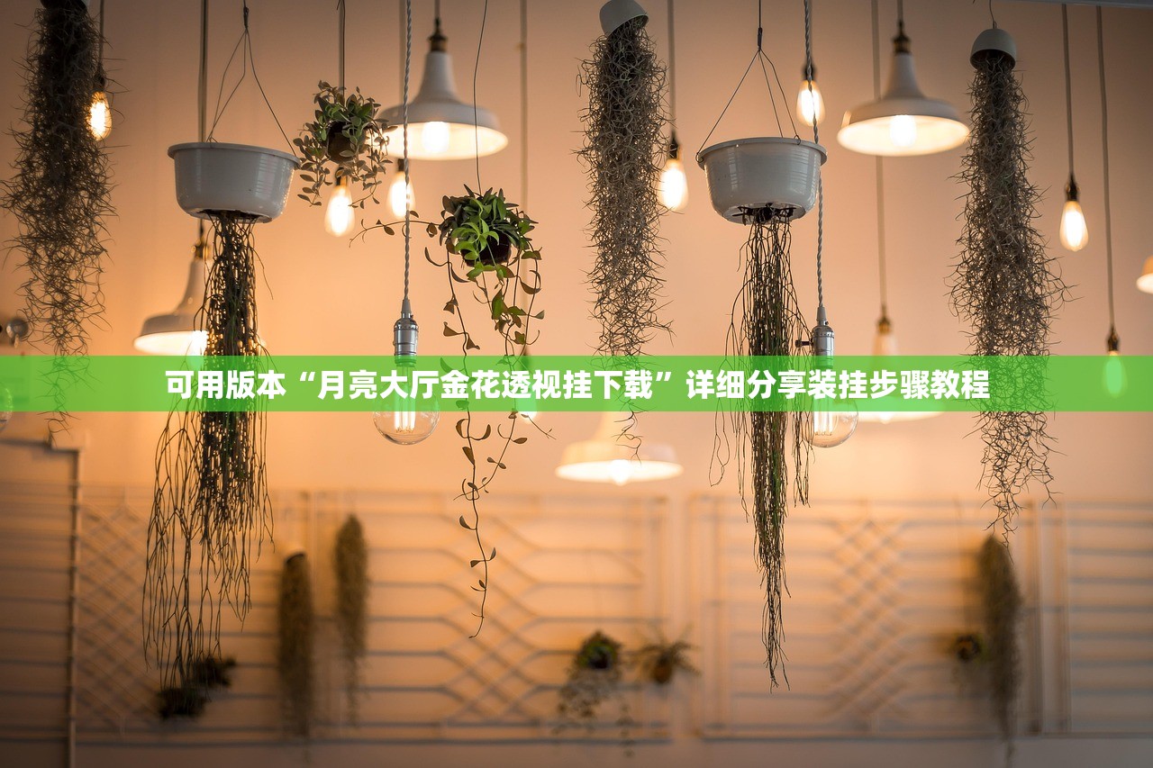 可用版本“月亮大厅金花透视挂下载”详细分享装挂步骤教程