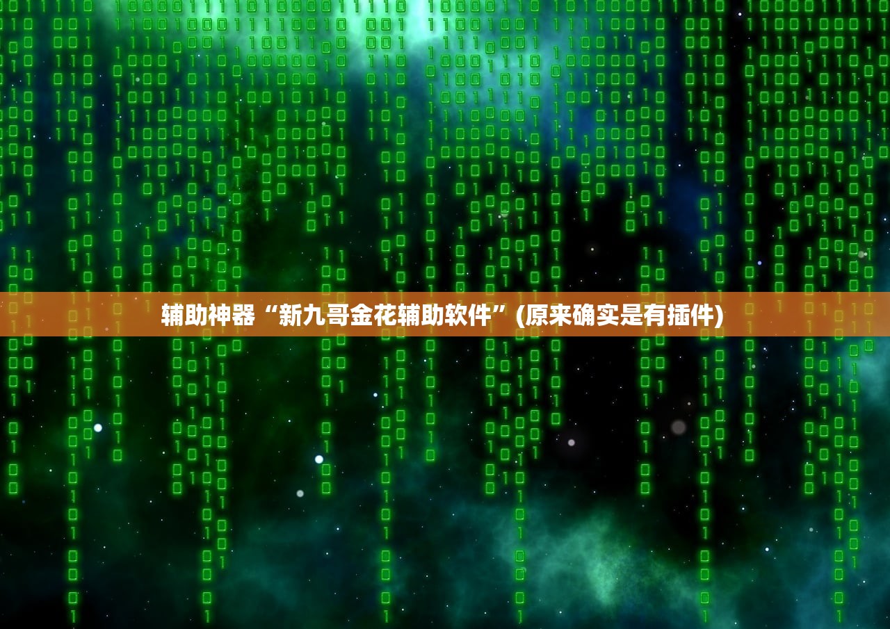 辅助神器“新九哥金花辅助软件”(原来确实是有插件) 