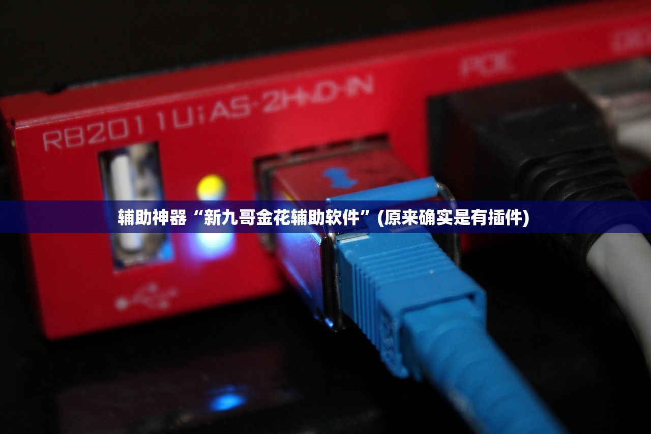 辅助神器“新九哥金花辅助软件”(原来确实是有插件) 