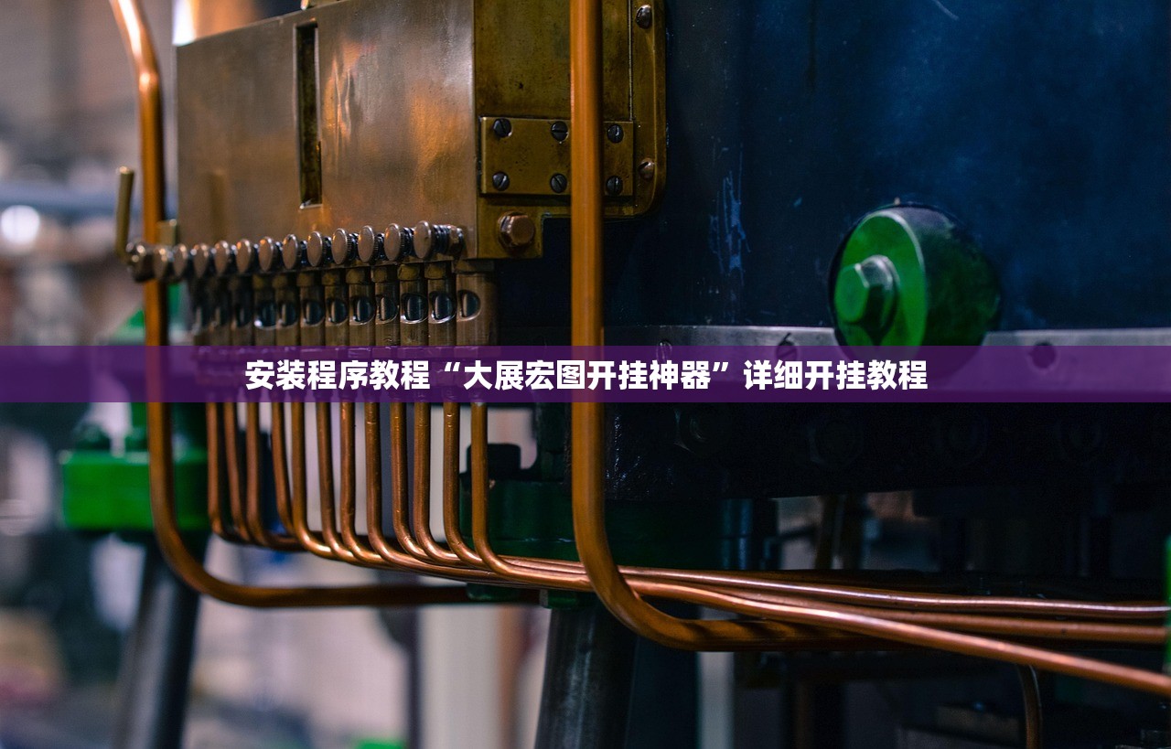 安装程序教程“大展宏图开挂神器”详细开挂教程
